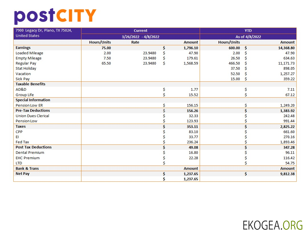 modèle de déclaration de revenus de l'entreprise de la ville aux formats Word et PDF
